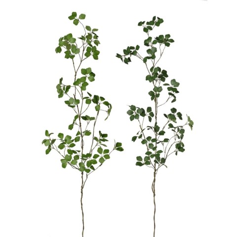 RAMO TRIFOGLIO H110 2ASSORTITI